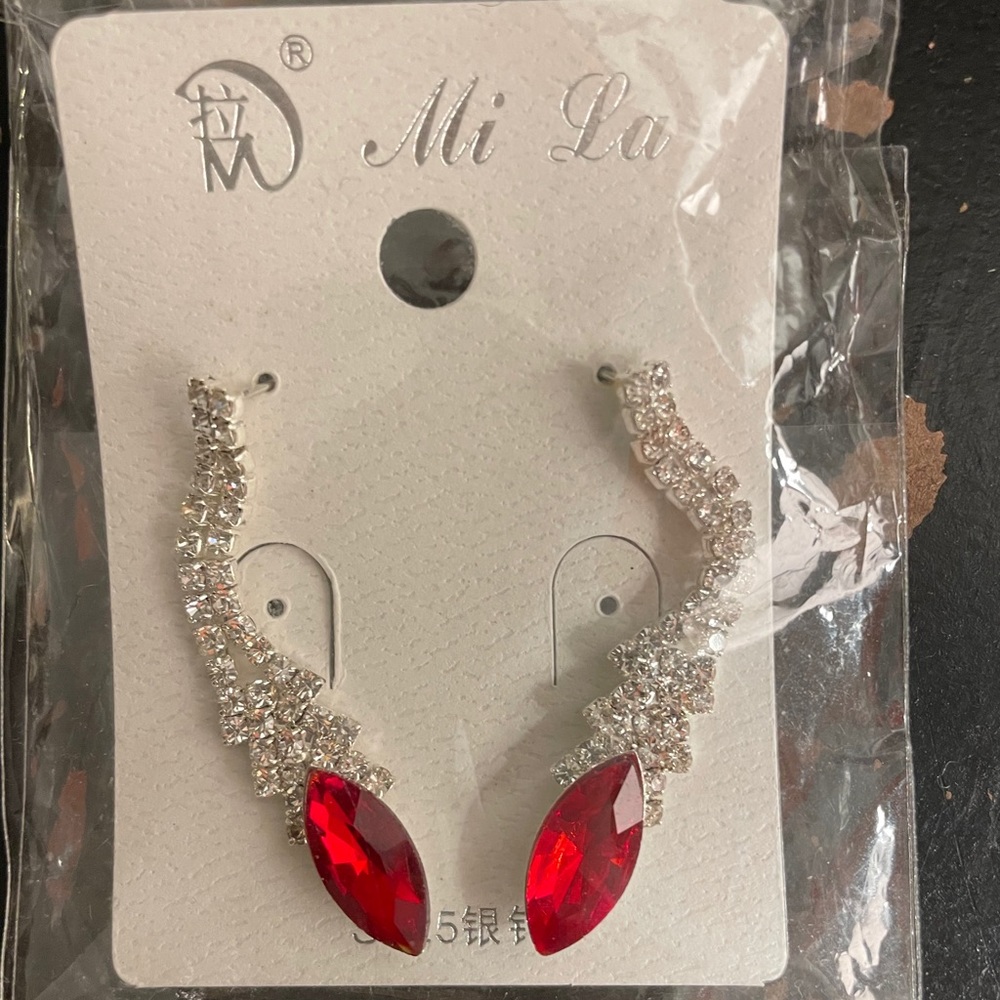 Never worn fashion earrings